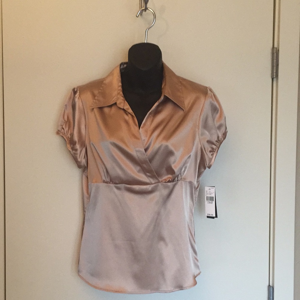 IZ Dressy V-Neck Blouse NWT